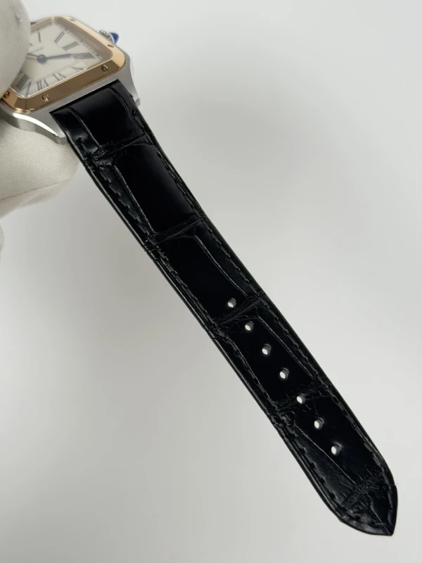 Cartier W2SA0011 4