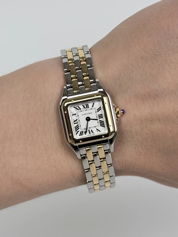 Cartier DE CARTIER W2PN0006 5