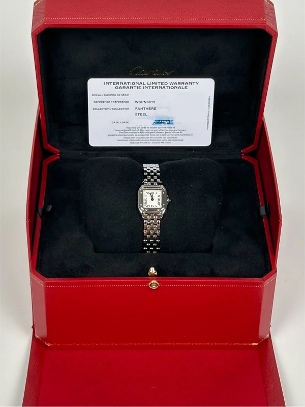 Cartier de Cartier WSPN0019 7