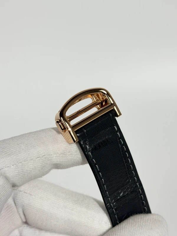 Cartier SANTOS DE CARTIER WGSA0019 6
