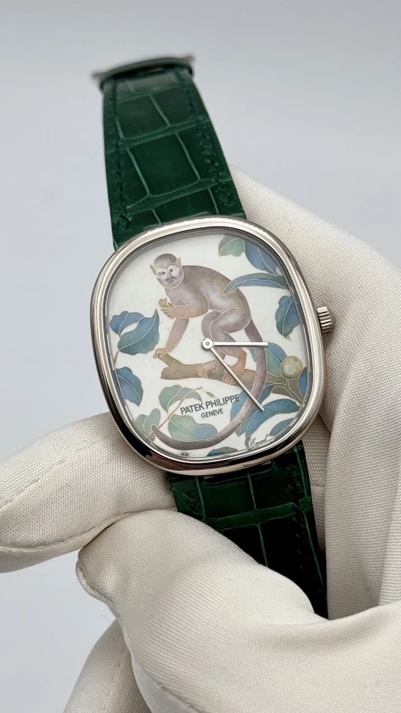 Patek Philippe Monkey 5738/50G-014 2