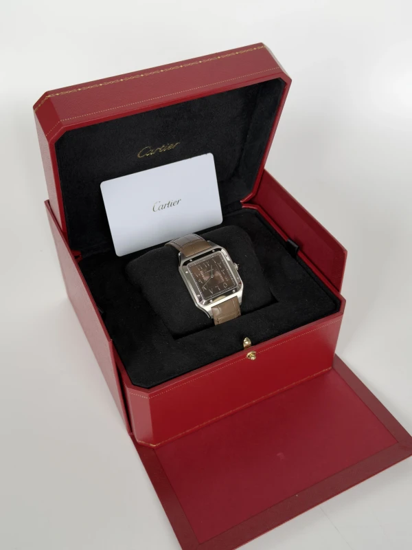 Cartier WGSA0114 7