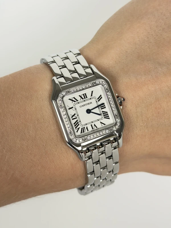 Cartier de Cartier WSPN0007 FIX2 4