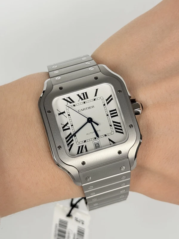 Cartier WSSA0089 5