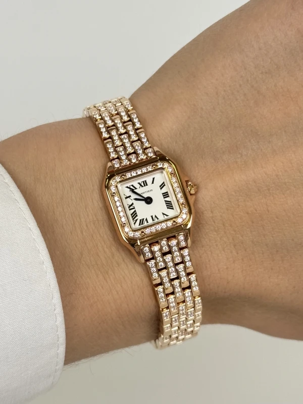 Cartier Cartier Mini WJPN0063 6