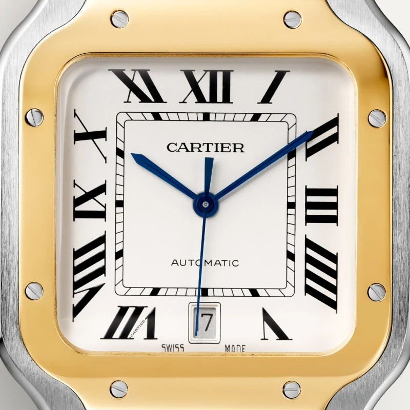 Cartier W2SA0009 2