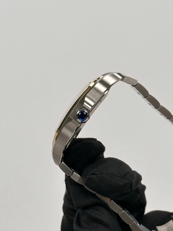 Cartier Large W2SA0030 5
