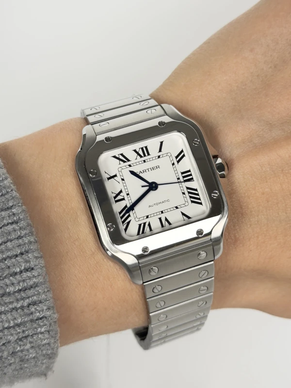 Cartier WSSA0029 4
