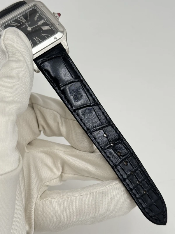 Cartier WGSA0099 4