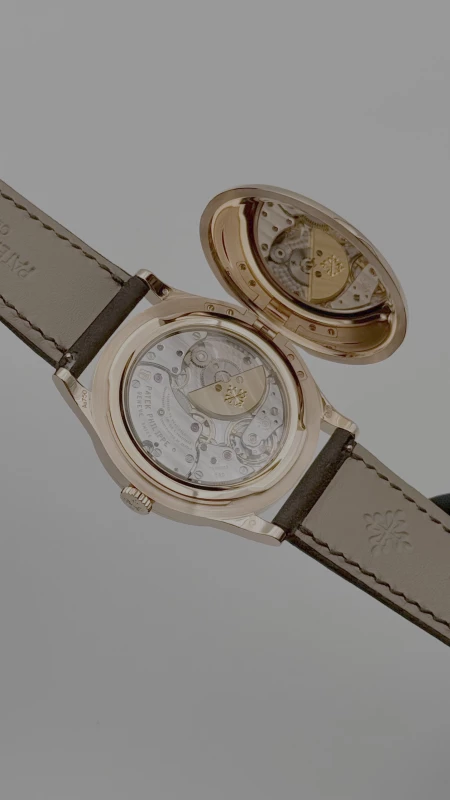Patek Philippe Billiards 5089R-001 6