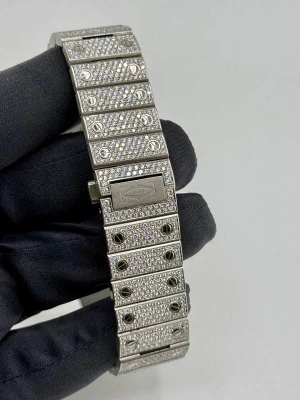 Cartier WSSA0030 6
