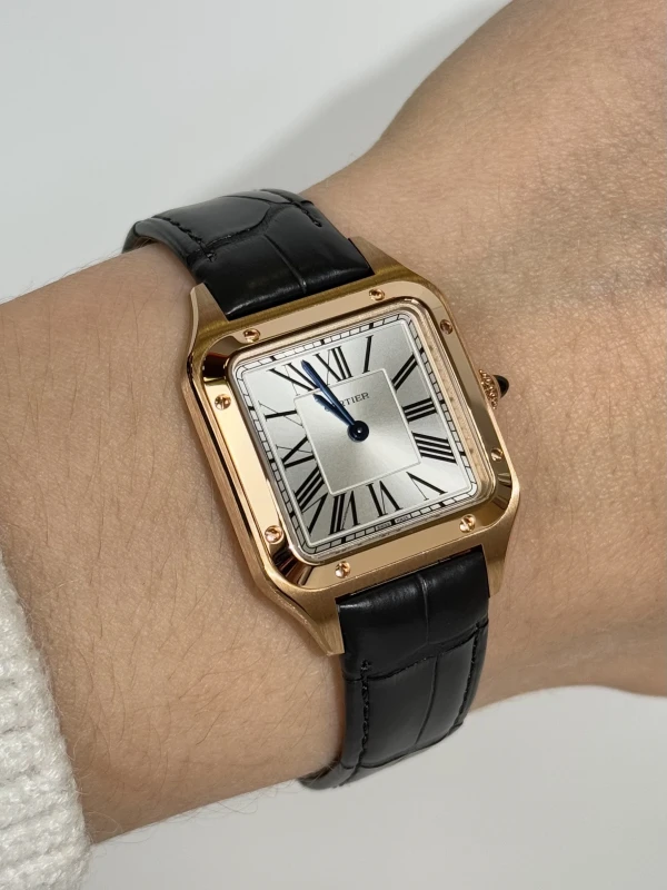 Cartier WGSA0117 7