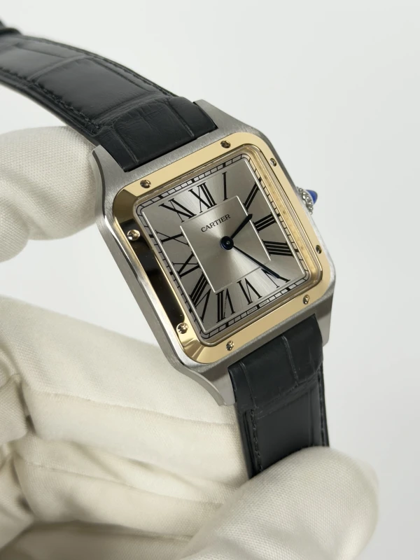 Cartier W2SA0046 2