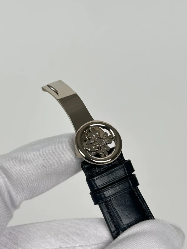 Patek Philippe 5102 Celestial 5102PR-001 8