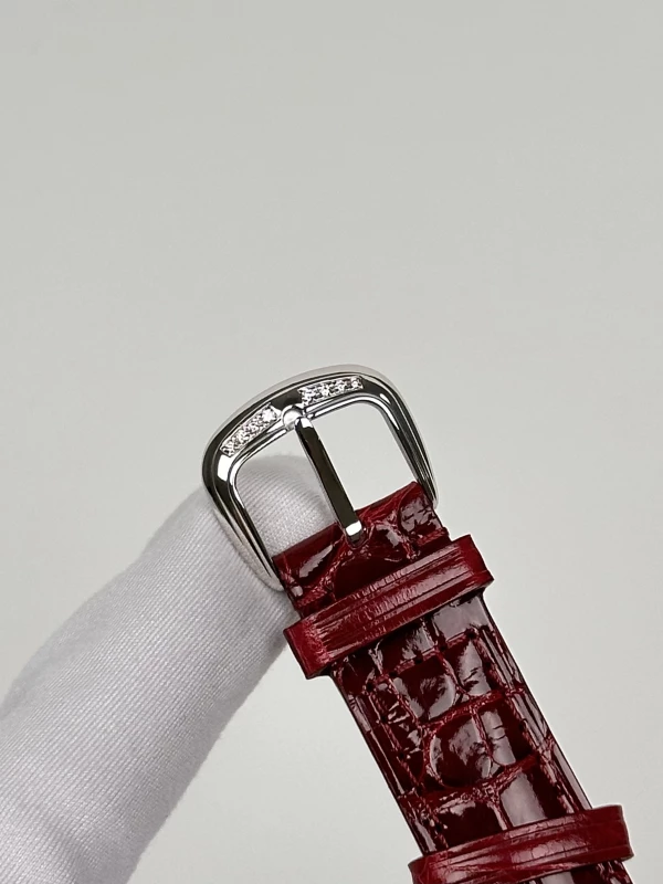 Franck Muller DM 36 BAG RU CD RUWG 8