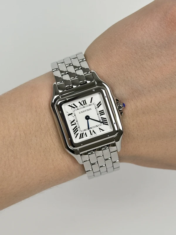 Cartier 31mm WSPN0011 5