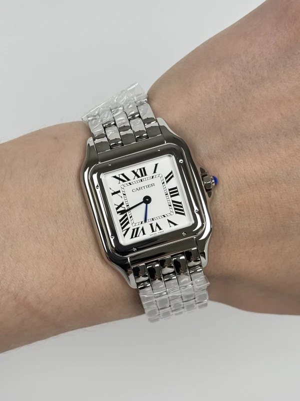 Cartier 31mm WSPN0016 5