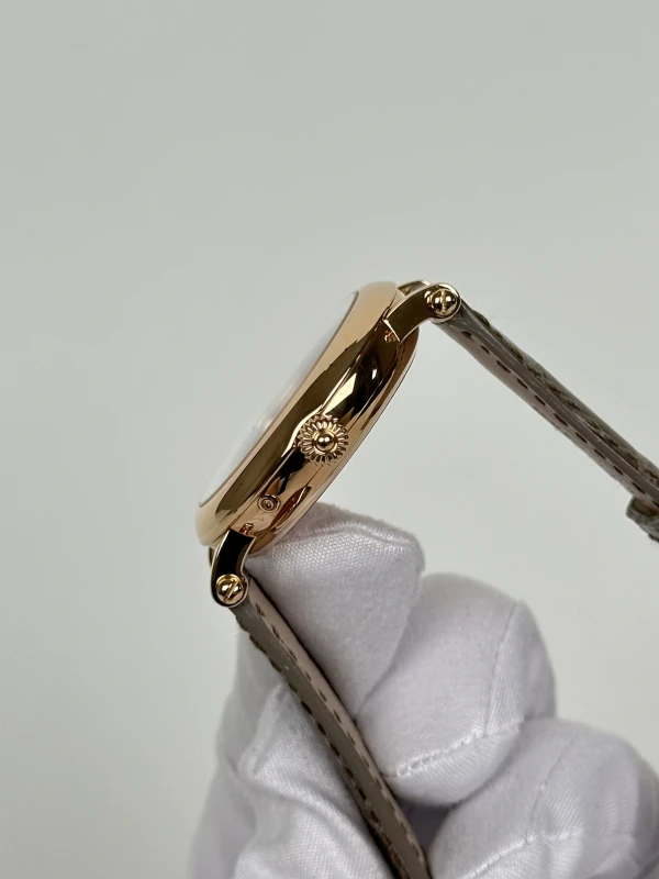 Patek Philippe Power Reserve Moon 5054R-001 7