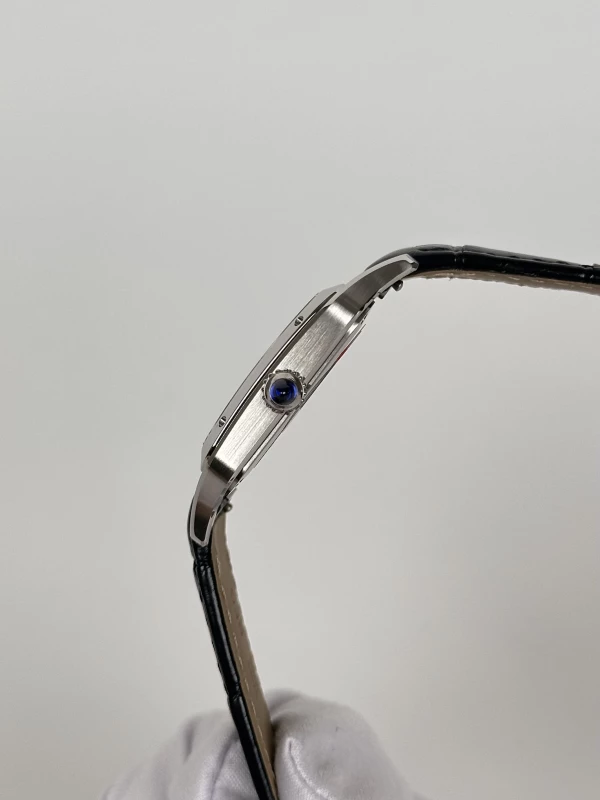Cartier SANTOS-DUMONT WSSA0022 6