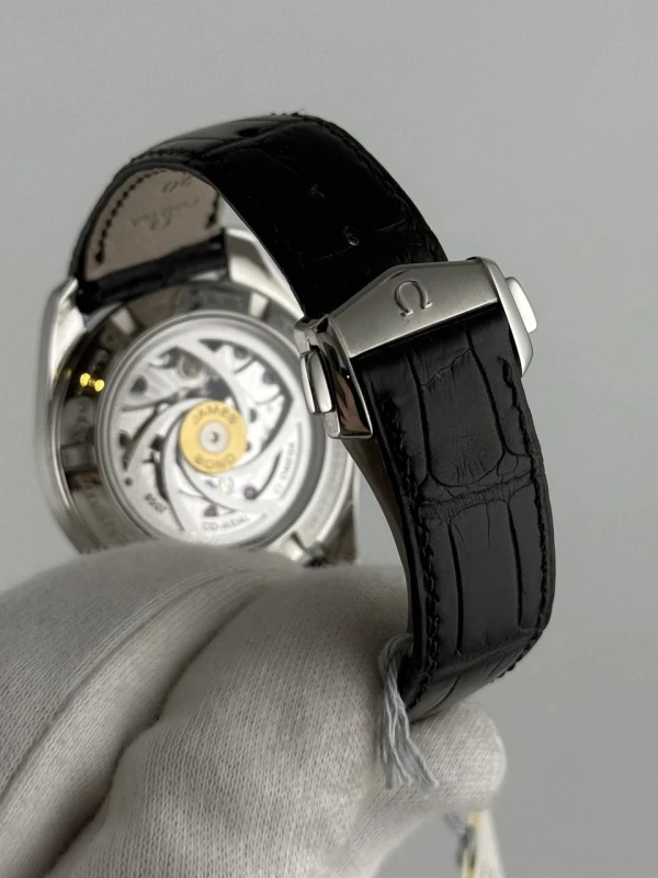 Omega Aqua Terra 150 M Omega Master Co-Axial 41,5 мм 231.10.42.21.03.004 9