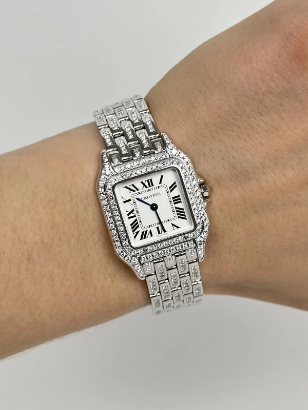 Cartier de Cartier WSPN0007 FIX 5