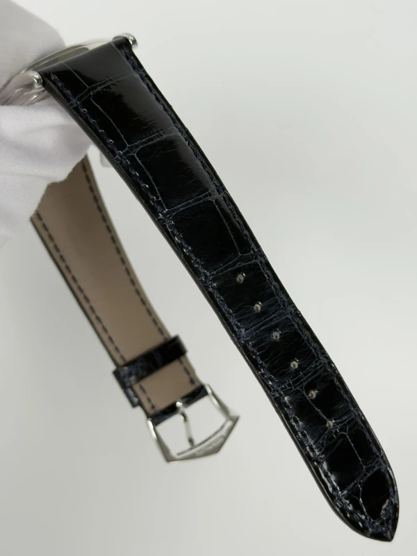 Patek Philippe Cygne Blanc 5077/100G-019 5