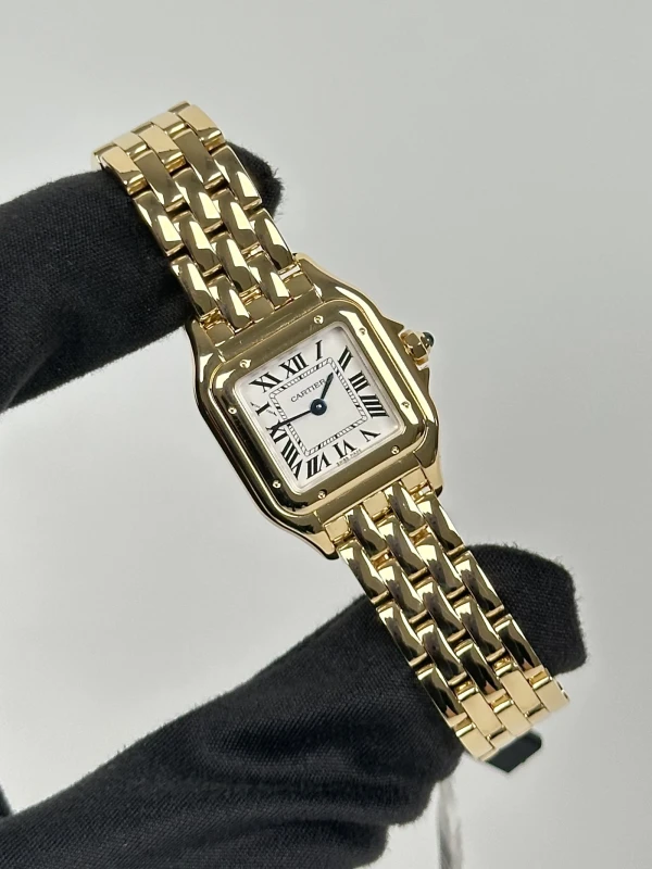 Cartier de Cartier WGPN0047 2