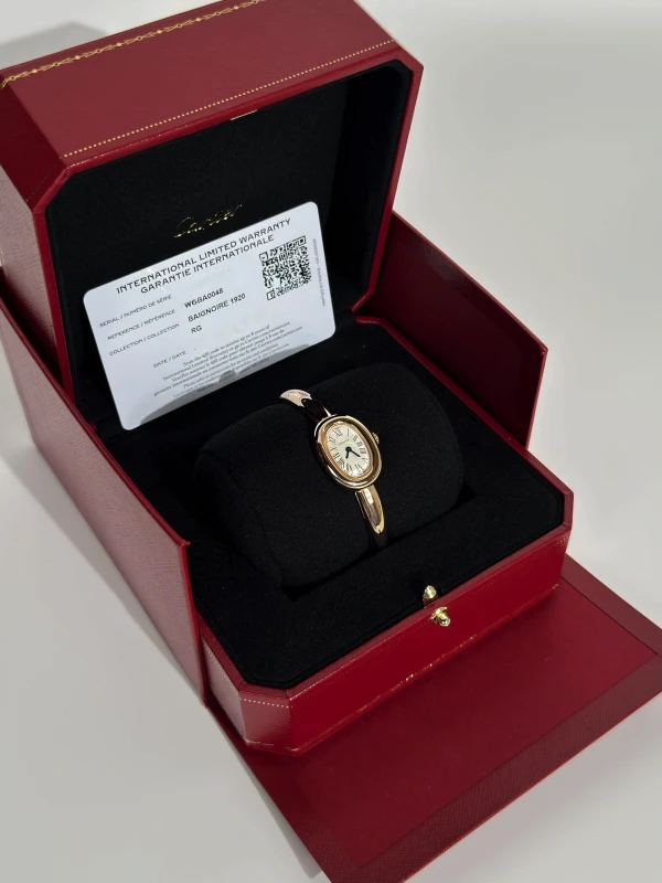 Cartier Mini mode WGBA0081 7