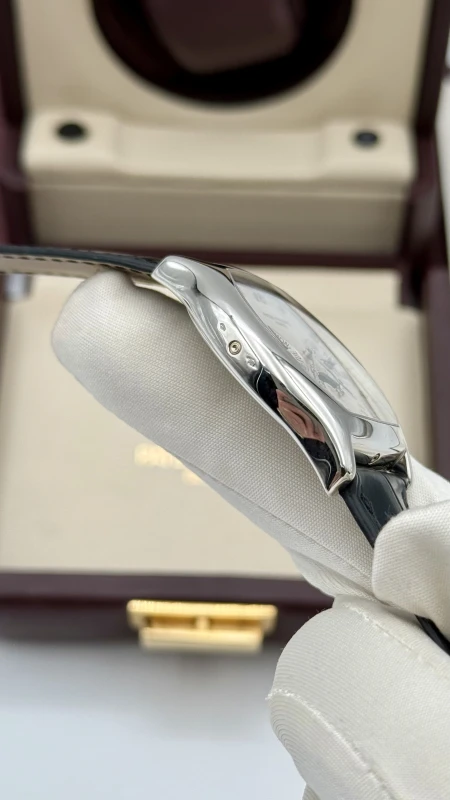 Patek Philippe 5040 Platinum 5040Pt 8