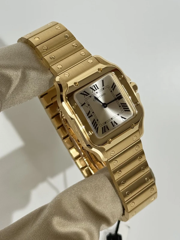 Cartier WGSA0107 2