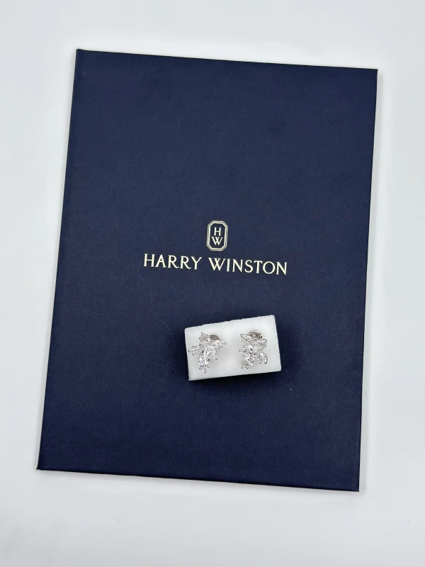Harry Winston WINSTON CLUSTER DIAMOND EARRINGS, MEDIUM EADPCL075WC 6