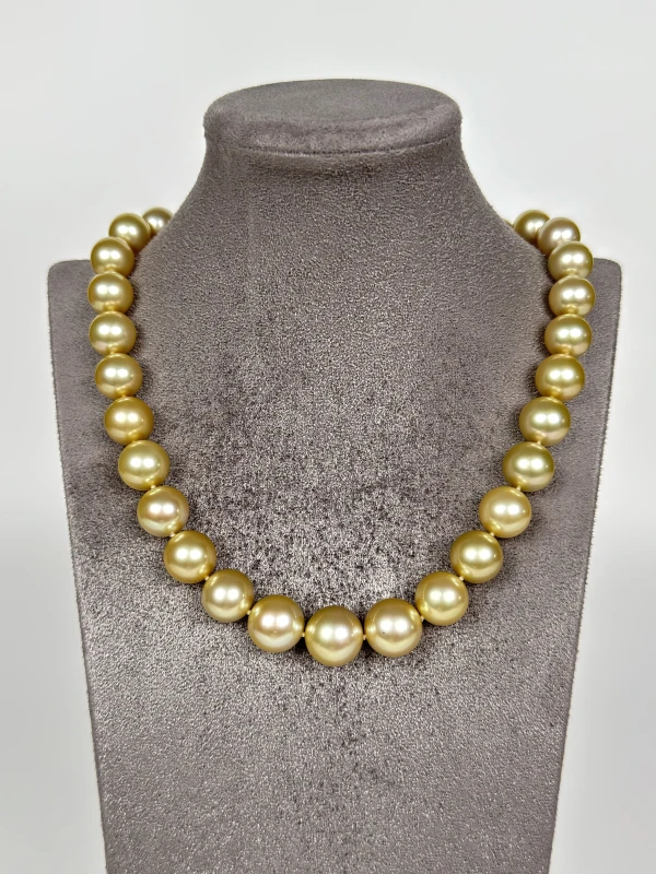 Мikimoto  GINZA SPECIAL EDITION GOLD SOUTH SEA CEELTURED PEARL MN11.7-14.05 3