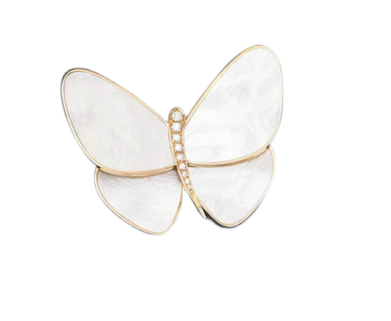 Butterfly clip