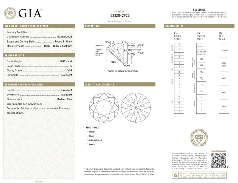 Earrings without a brand ROUND DIAMOND 5.01-5.07 CT G/VS2 EARRINGS (GIA) EXEXEX NN5.01-5.07CT G/VS2 3