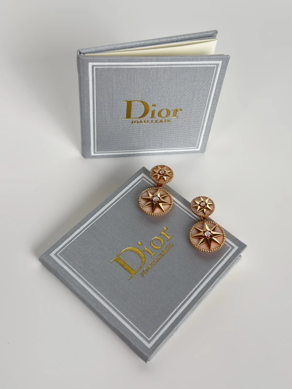 Dior ROSE DES VENTS EARRINGS JRDV95235 6