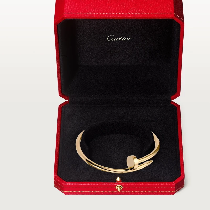 Cartier JUSTE UN CLOU BRACELET B6048217 2