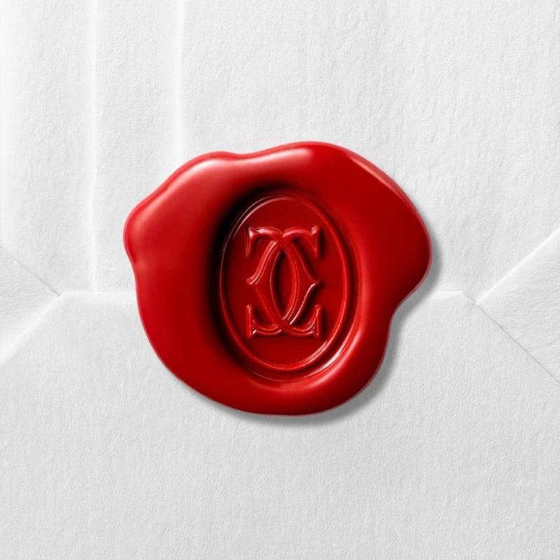 Cartier ECROU DE CARTIER TORQUE NECKLACE N7424398 5