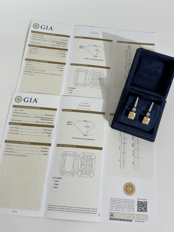 No name DIAMOND 10.14 - 10.06 CT Y to Z/VVS2-VS1 EARRINGS (GIA) NN10.14-10.06 5