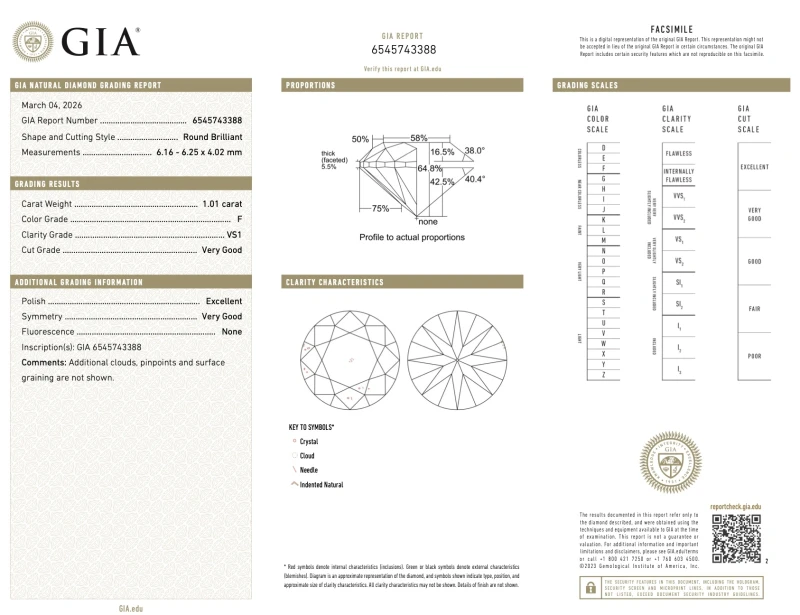 No name ROUND DIAMOND 1.00-1.01 CT F/VS1 EARRINGS (GIA) nn 1.01-1.00 F/VS1 2