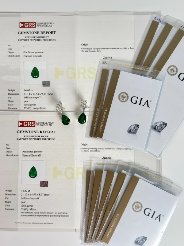 No name EMERALD 13.82-16.07 CT VIVID GREEN and DIAMOND 8.54 CT EARRINGS (GIA/GRS) NN13.82-16.07 6