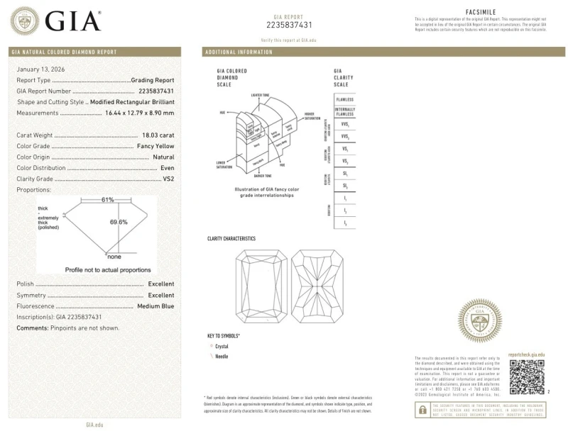 Earrings without a brand RADIANT DIAMOND 18.03 CT FANCY YELLOW/VS2 RING (SIZE 51) GIA nn18.03ct FY/VS2 2