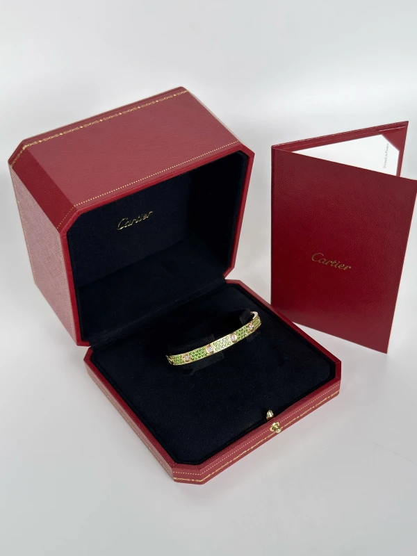 Cartier LIMITED EDITION LOVE BRACELET, TSAVORITE GARNET PAVED IN YELLOW GOLD (SIZE 17) N6739417 5