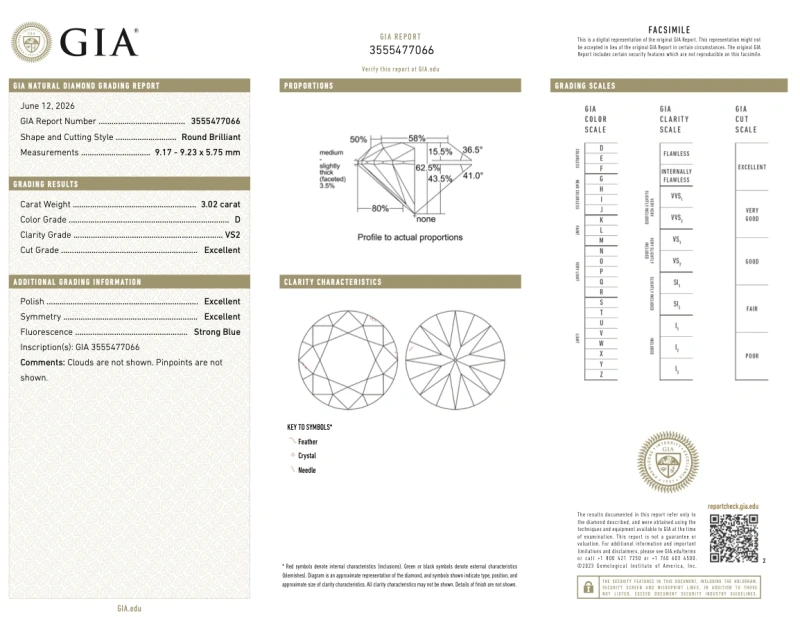Earrings without a brand ROUND DIAMOND 3.02-3.02 CT D/VS2 EARRINGS (GIA) NN3.02-3.02CT D/VS2 2