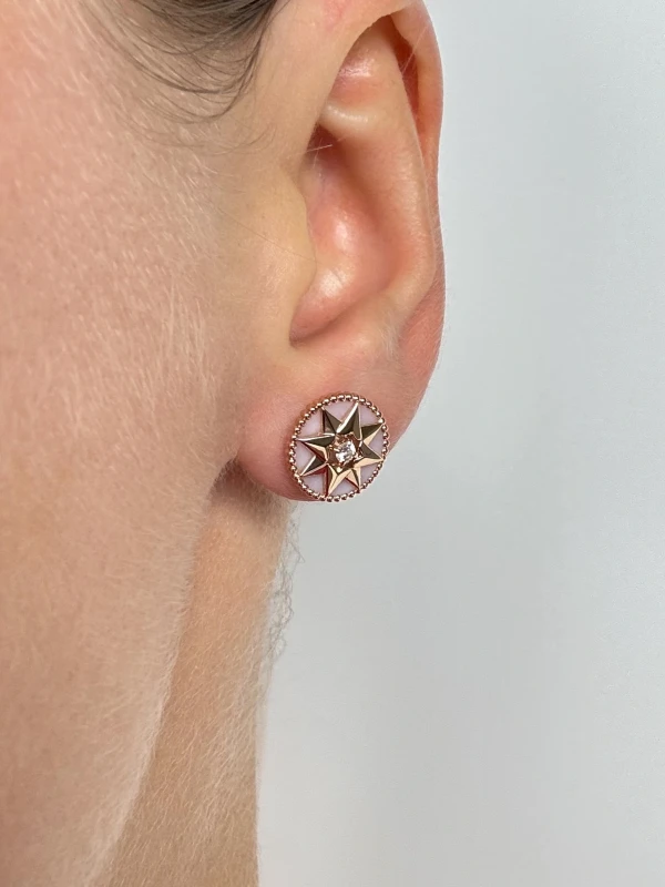 Dior ROSE DES VENTS EARRINGS JRDV95235 3
