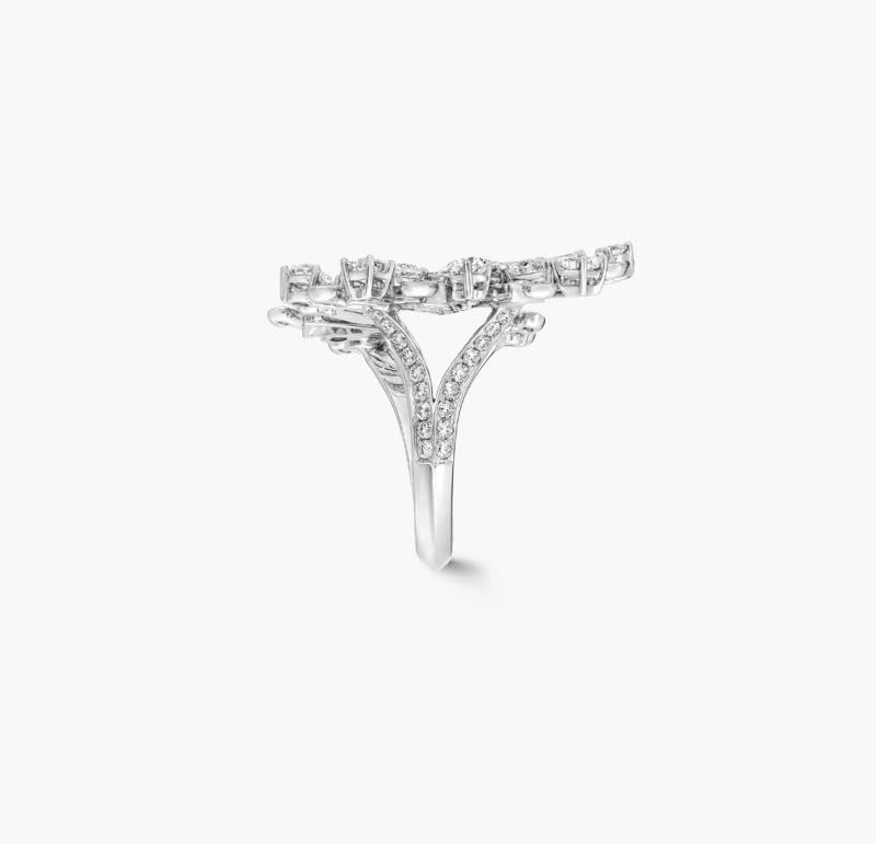 GRAFF New Dawn Multi-Shape Double Diamond Ring RGR745 3