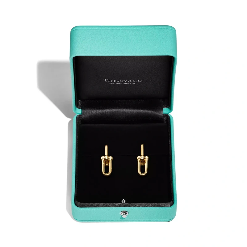 Tiffany & Co Tiffany HardWear Medium Link Earrings in Yellow Gold 73584558 3