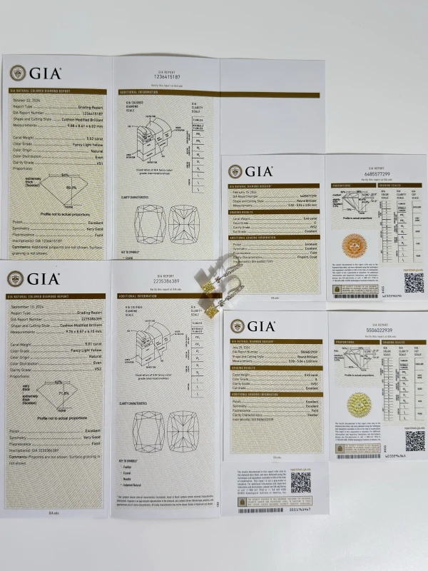 Earrings without a brand СЕРЬГИ С БРИЛЛИАНТАМИ 5.01-5.02 CT FLY/VS (GIA) 5.01-5.02 CT FLY/VS (GIA) 6
