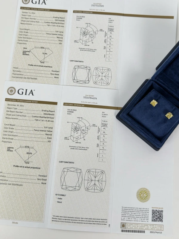 СЕРЬГИ NO NAME CUSHION DIAMOND 3.01 - 3.01 CT FANCY INTENSE YELLOW/VS1 EARRINGS NN3.01-3.01 CT FIY-VS 6