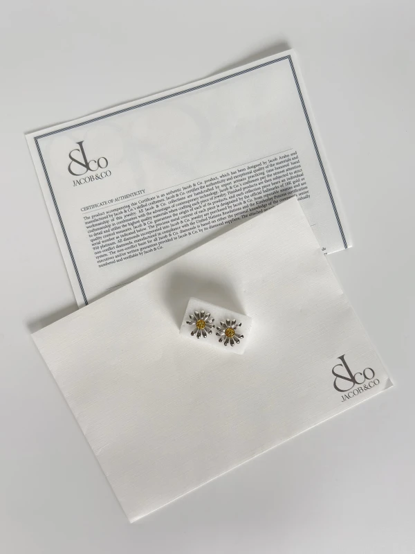 Jacob & Co Jacob & Co. X PEACEMINUSONE Earrings ER-GG-SS 6