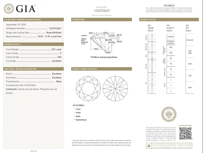 Earrings without a brand ROUND DIAMOND 5.01 CT F/VS2 RING (GIA) EXEXEX nn5.01ct F/VS2 2